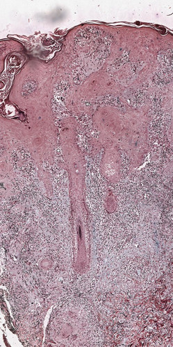 HAKQItkakAANEi ?format=jpg.jpg