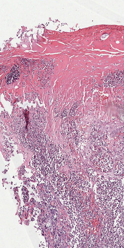 HAKP WnbcAAvoYh?format=jpg.jpg