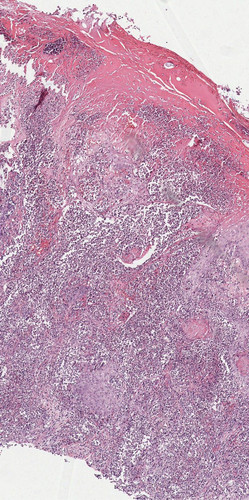 HAKP WrbIAIKYTP?format=jpg.jpg