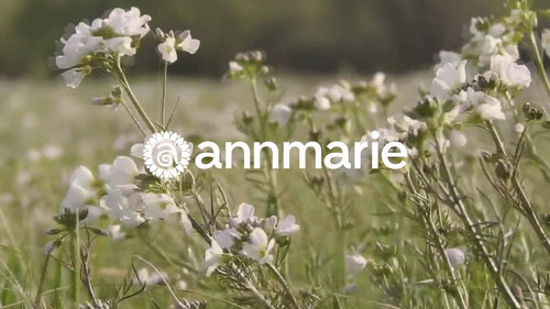 480634529 1029853955844540 79323541248175029 n.jpg