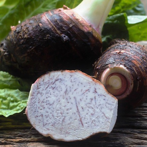 5 taro 5pp 37 sree original imag.jpg