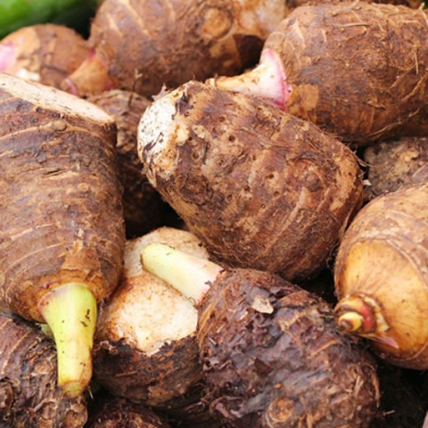 5 taro root bulb 5 per packet 00.jpg