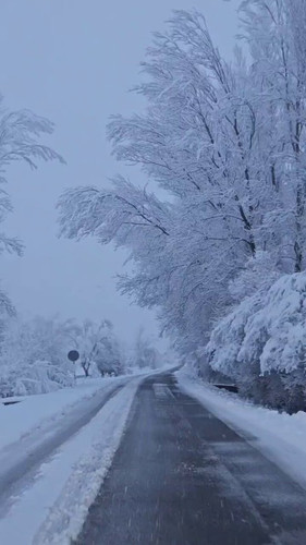 kPN f38lmVe87Kf4.jpg