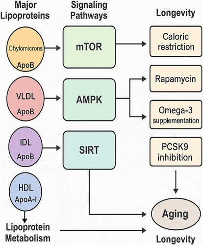 G eSO9rWsAAIjFf?format=jpg.jpg