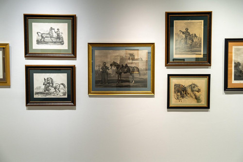 HAVW8ppWEAECOd ?format=jpg.jpg