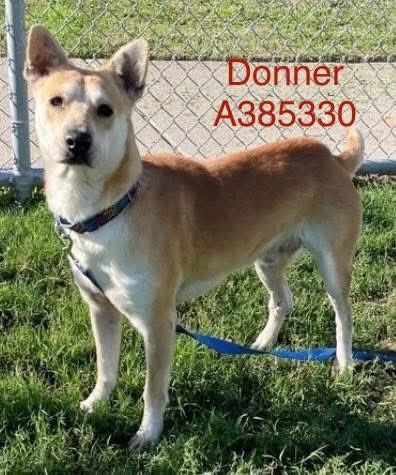 G rfVfFXUAEPnOB?format=jpg.jpg