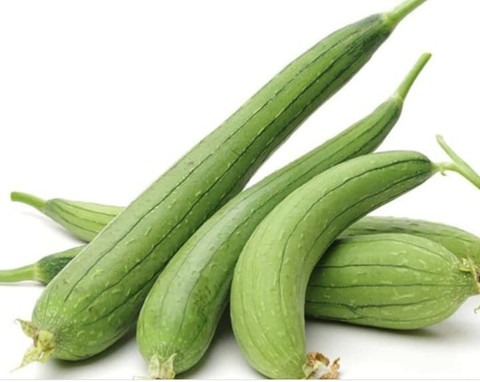 50 vxi 93 vegetable seeds sponge.jpg