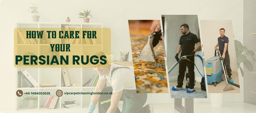 Tips on How to Care for Your Persian Rugs.jpg