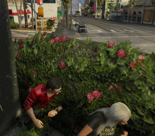 NVIDIA Overlay Uov751i13K.jpg