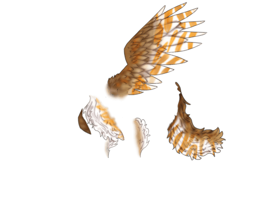 1000013160.png