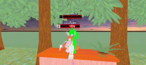 imagen.png