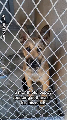 a 8BHoimbYusA7vb.jpg