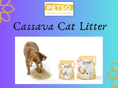 Natural Litter for Fresh and Clean Homes.jpg