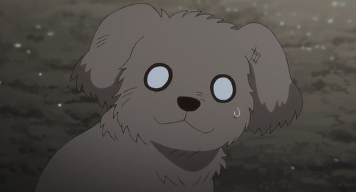 Screenshot 20260204 151317 Chrome.jpg