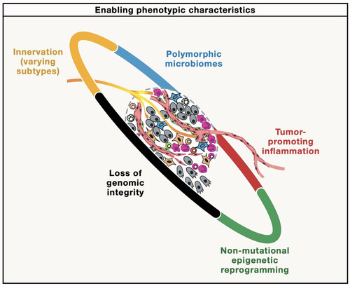 HAPz1bWWYAAmd k?format=jpg.jpg