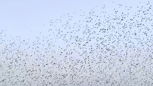 S9H zR6JvooD2ZUv.jpg