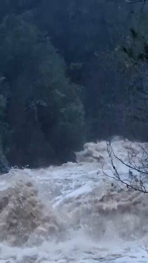 yjI jNfY5RyCQSHz.jpg