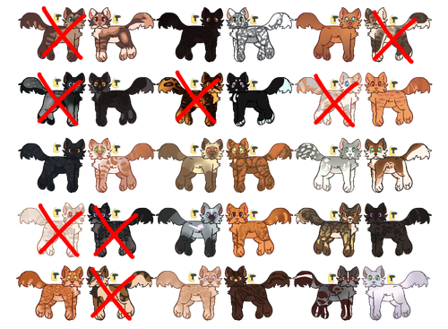 2026 02 04 0sz Kleki.png