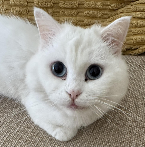 627666553 10235321139101826 4022169997498505131 n.jpg