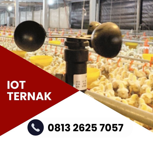 IoT (4).jpg