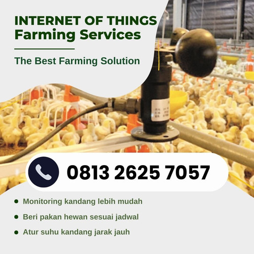 IoT (1).jpg