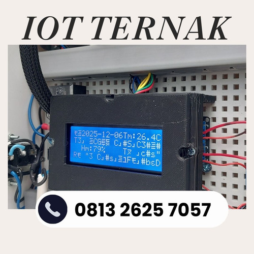 IoT (6).jpg