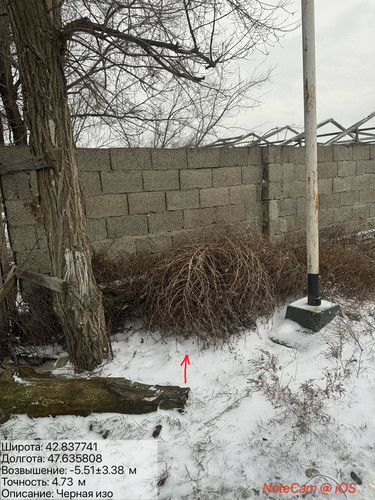 photo 2 2026 02 04 19 54 31.jpg