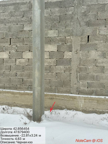 photo 7 2026 02 04 19 54 31.jpg