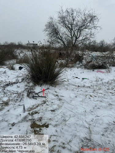 photo 8 2026 02 04 19 54 31.jpg