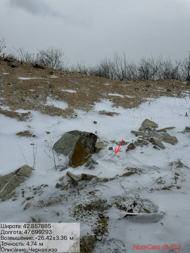 photo 11 2026 02 04 19 54 31.jpg