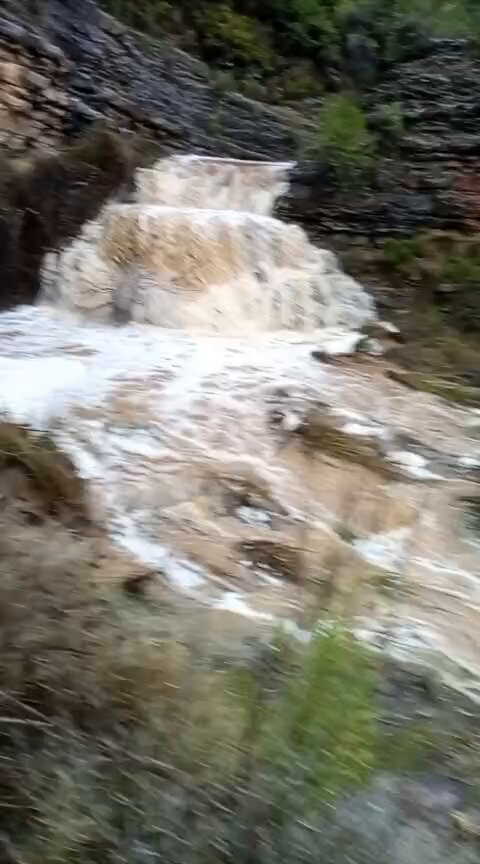 vZ VyyHWET ajnDl.jpg