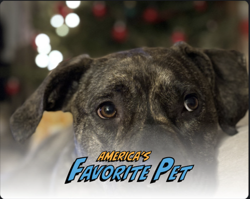 Screenshot 2026 02 04 at 9.44.42 AM.png