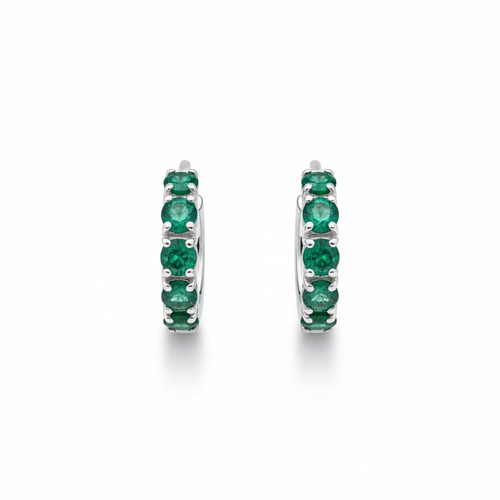 img 69667d1fe29a8.jpg