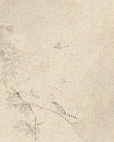 IMG 20260204 222605.jpg