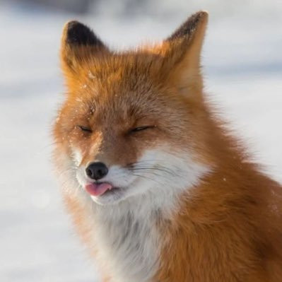 0f0ccae5c768.jpg