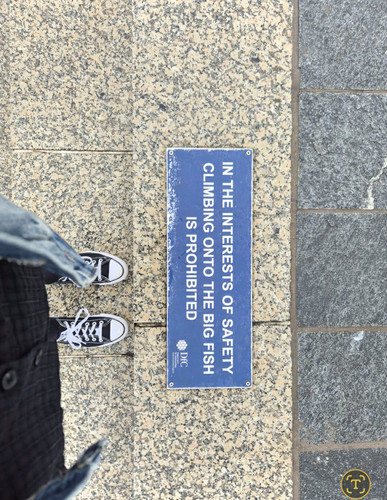 Image 5.jpg