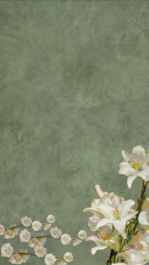 Screenshot 20260202 192240 com.xingin.xhs edit 2293565786680232.jpg