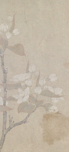 IMG 20260204 224933.jpg