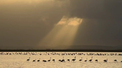 DCW PWoycTkV1lco.jpg