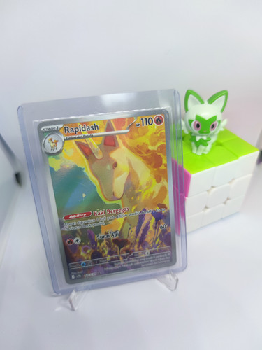 IMG 20260204 133911.jpg