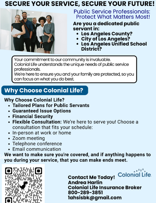 Insurance Plan Flyer 2