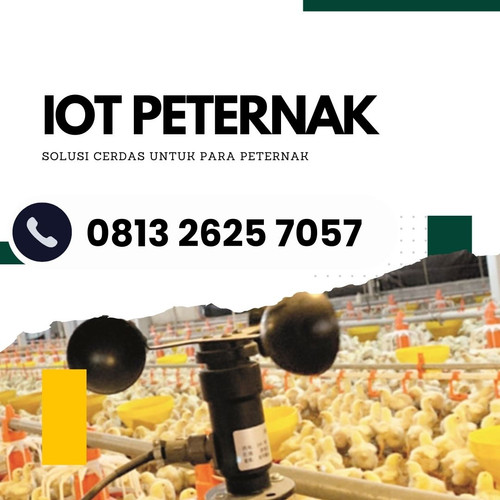 IoT (7).jpg