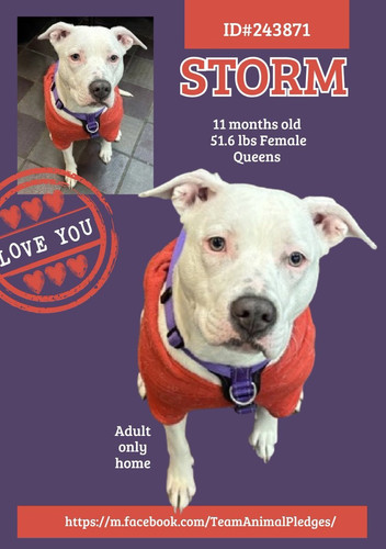 G ZOhxmWgAArZZw?format=jpg.jpg