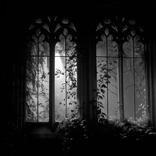 Image 1770282759704 556.jpg