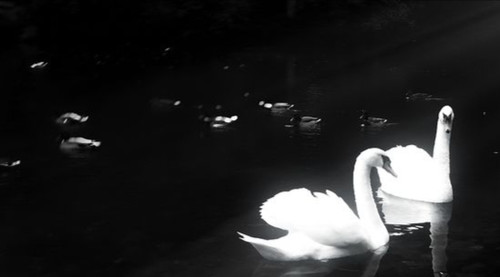 IMG 20260205 172617.jpg