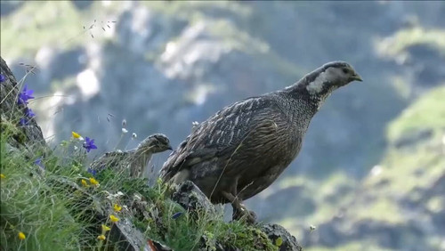 omx3Q7J0iI7al iy.jpg