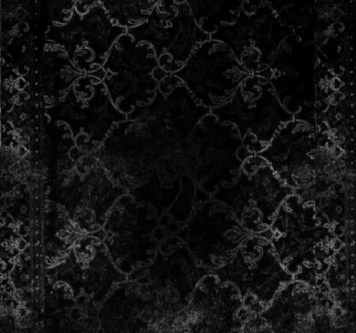 IMG 20260205 220057.jpg