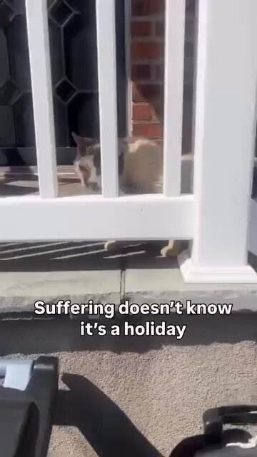 jMyHcFc2SIxd5c9k.jpg