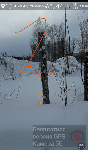 IMG 8629.jpg