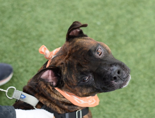 G nQckVbAAMXW4D?format=jpg.jpg